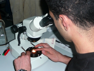 course other 1.jpg